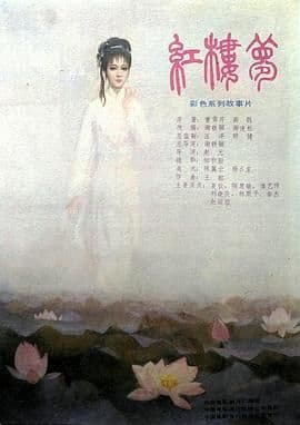 红楼梦第五部:晴雯夭亡海报