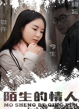 陌生的情人海报