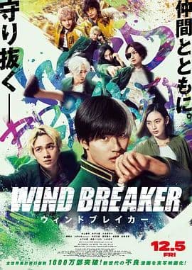 防风少年海报