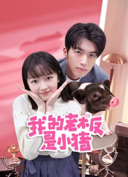 我的老板是小猪海报