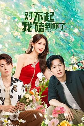 对不起,我磕到你了海报
