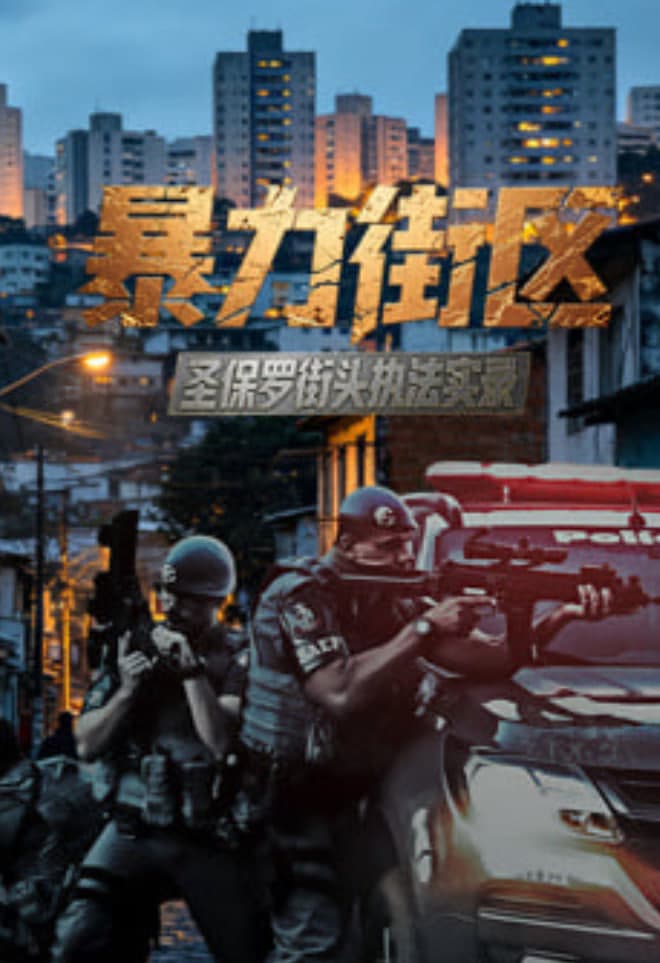 暴力街区:圣保罗街头执法实录海报