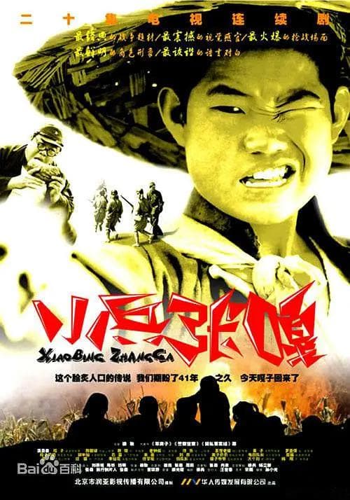 小兵张嘎2004海报