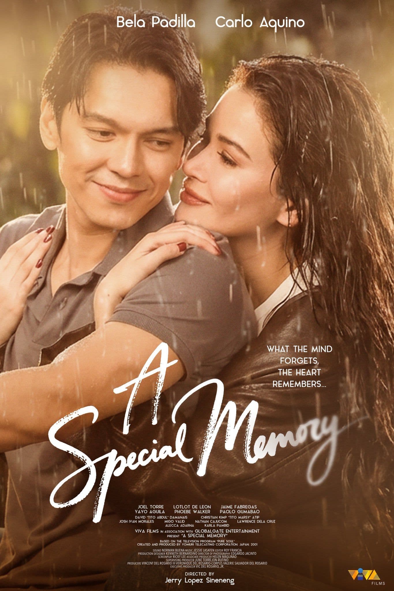 A Special Memory海报